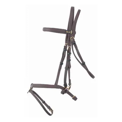 Bridles T de T Biotack®