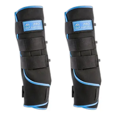 Resting gaiters for horses Lami-Cell Ice Boots