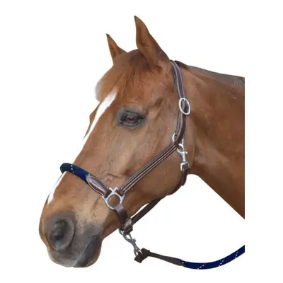 Leather halter for horse with reins Canter