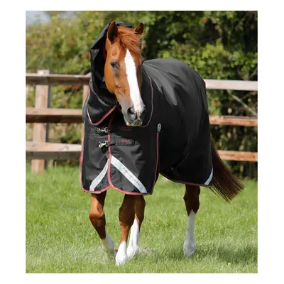 Outdoor horse blanket with neck cover Premier Equine Titan 100 g