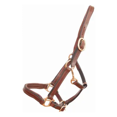 Halter for foal or mini leather horse T de T