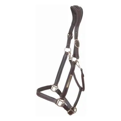 Horse halter with plate T de T