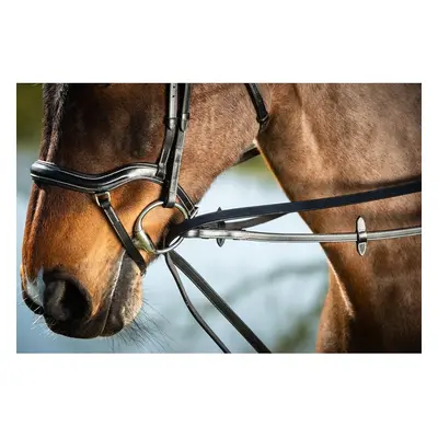 Horse Reins HFI