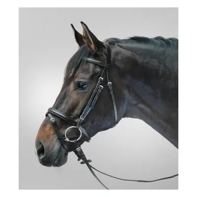 Combined noseband bridle Star Lifestyle