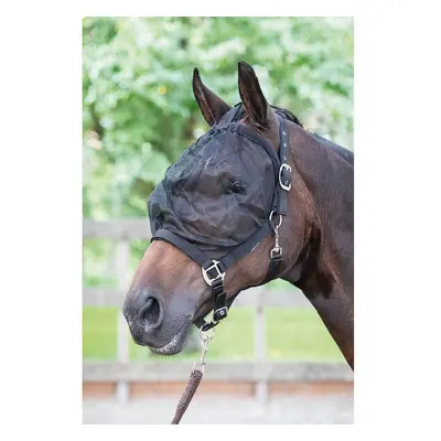 Anti-fly Halter Harry's Horse