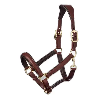 Halter for horse LeMieux Anatomic