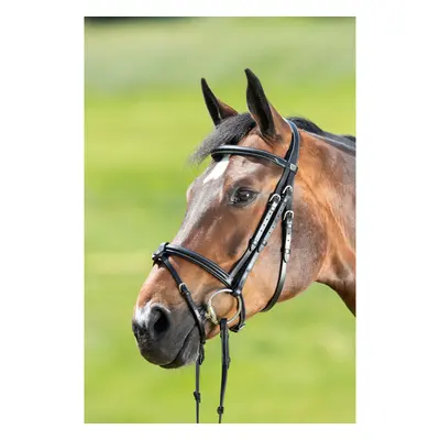 Riding bridles HFI Anatomic