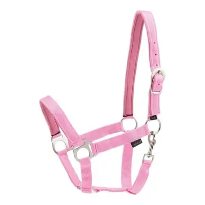 Nylon horse halter HorseGuard