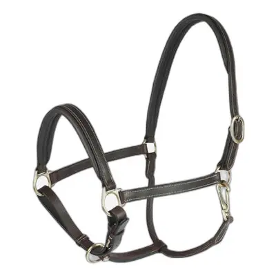 Halter for horse Horze Largo