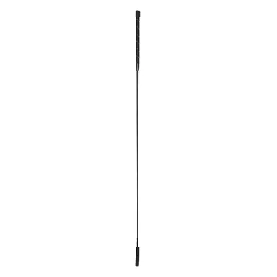 Dressage riding crop Imperial Riding Regal Shine