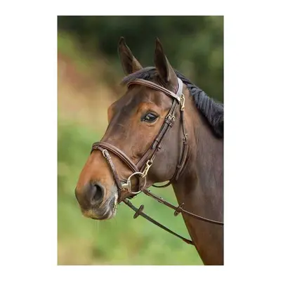 Riding bridles HFI Functional