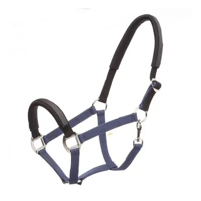 Safety halter for horses Kavalkade KavalLastic