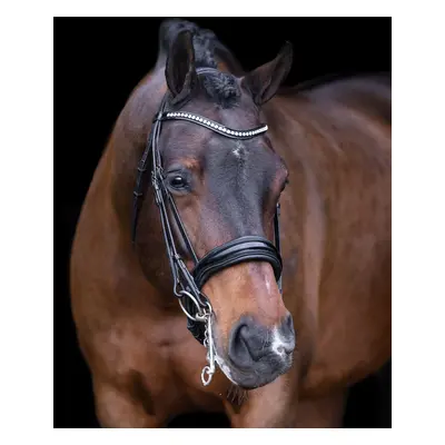 Combined riding bridle and noseband Imperial Riding Athena