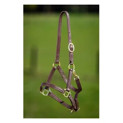 Soft leather halter for horse HFI