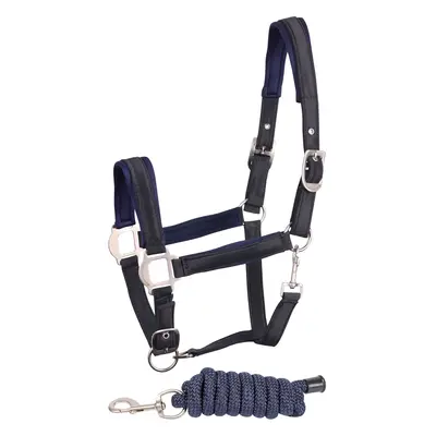 Halter and lead rope set for satin horse Harry's Horse