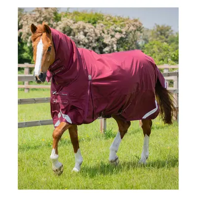 Waterproof outdoor horse blanket with neck cover Premier Equine Buster Storm Classic 90 g