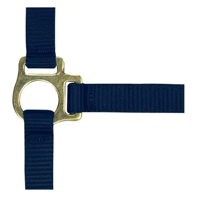 Halter for foal and lead rope Norton