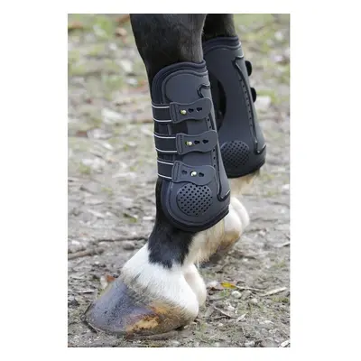 Knee protector for horses Harry's Horse Peesbeschermers Elite-R