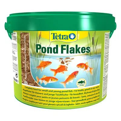 Maintenance products Tetra Flakes