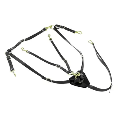 Hunting collar with martingale in biothane Lakota