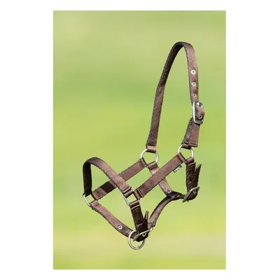 Soft nylon halter for horses HFI