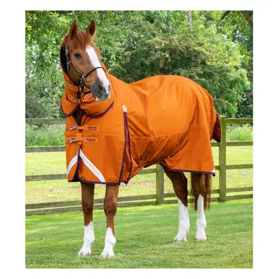 Waterproof outdoor horse blanket with neck cover Premier Equine Buster Combo 200g