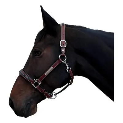 Halter for horse Flags&Cup Aachen