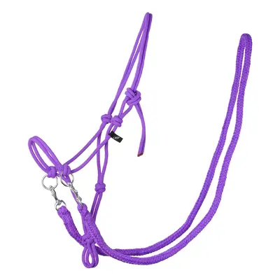 Halter with reins QHP