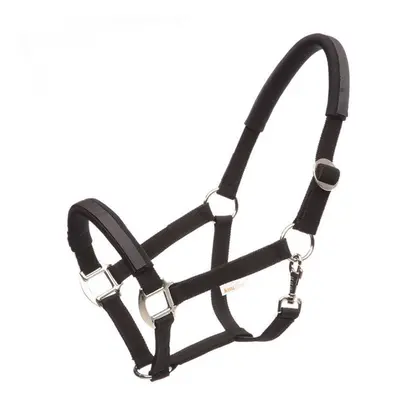 Safety halter for horses Kavalkade KavalLastic