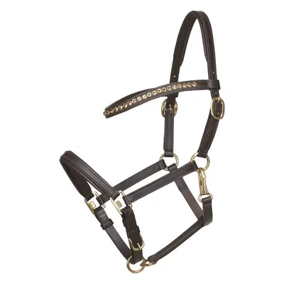 Leather halter for foal horses HorseGuard