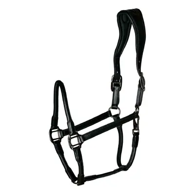 Leather halter for horses Catago