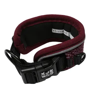 Fashion dog collar Duvoplus Ultimate Fit Control L