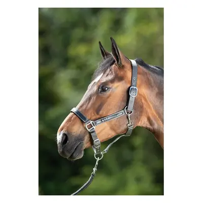 Halter for horse HFI First