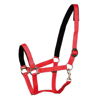 Padded horse halter Harry's Horse