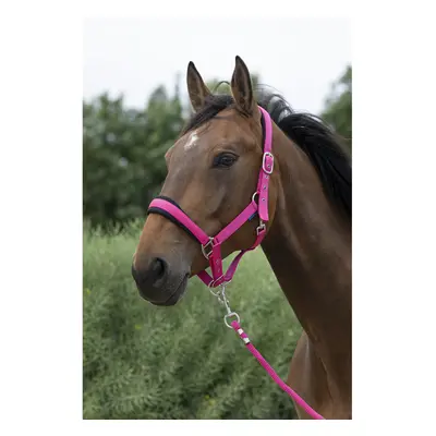 Halter and lead rope set for large horses Norton