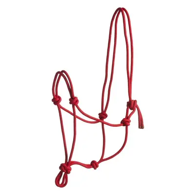 Halter for horse Norton First