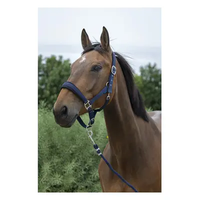 Halter and lead rope set for large horses Norton