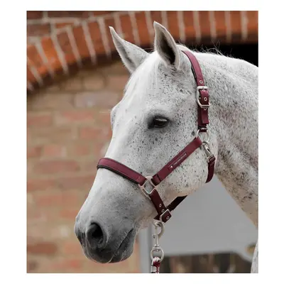 Halter for plain horse Premier Equine