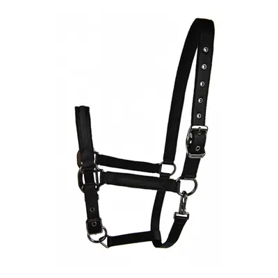 Halter for horse Lami-Cell Sparkling