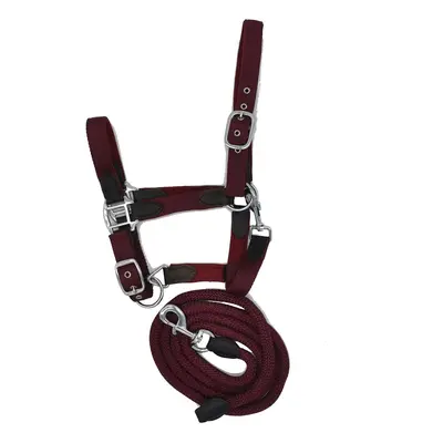 Halter and lead rope set for horse nylon HFI Néoprène Smart