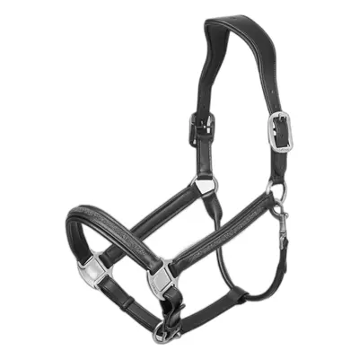 Leather halter for horse LeMieux Crystal