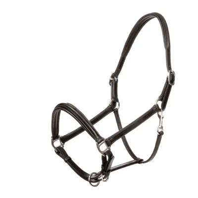 Leather halter for horses Kavalkade Charming