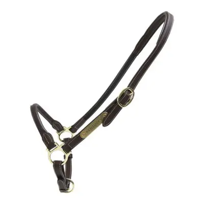 Leather halter for grooming horses Kentucky