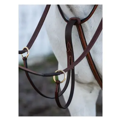 Martingale for horse Jacson Cincinatti