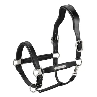 Leather halter for horse Eskadron Stallion