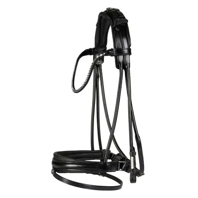 Rolled bridles Catago Shay