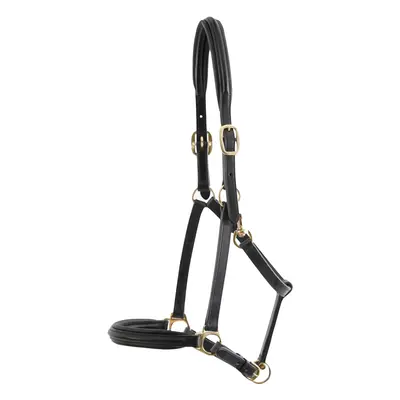 Leather padded horse halter Premier Equine