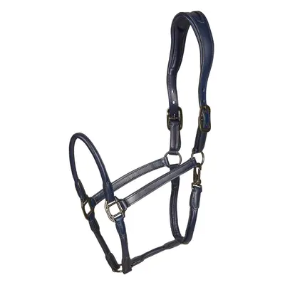 Leather halter for horses Catago