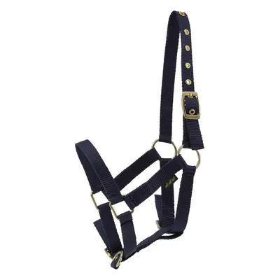 Halter for horse HorseGuard