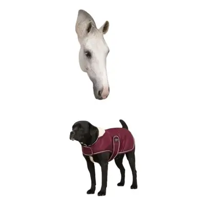 Fleece dog Blanket Diego & Louna Teddy